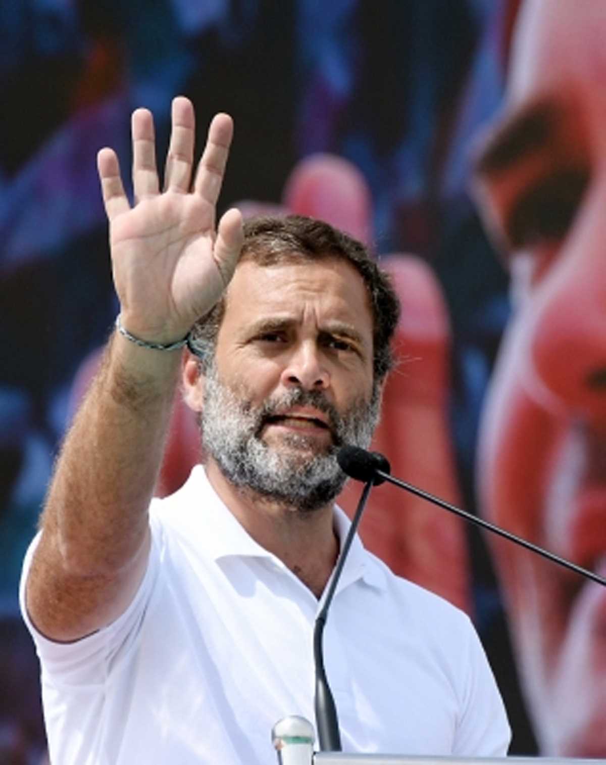 घायल हाथी को बचाओ, राहुल गांधी ने कर्नाटक के मुख्यमंत्री को लिखा पत्र